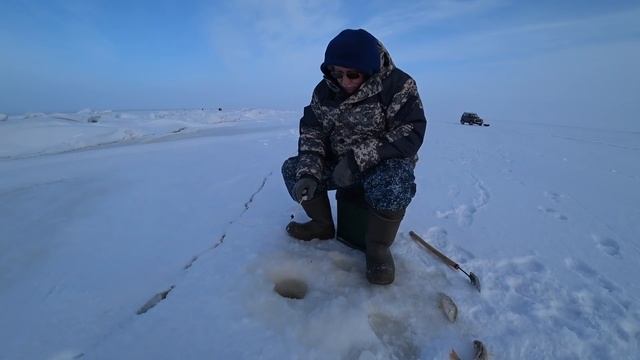 Рыбалка зимой с папой или окунь на балансир. Окунь зимой, рыбалка на озере Чаны. Рыбалка 2022. смотреть онлайн