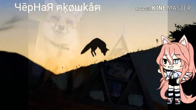 Набор в каманду/Новенькие смотреть онлайн