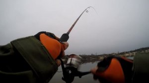 Ловля окуня. Дроп шот или отводной ?