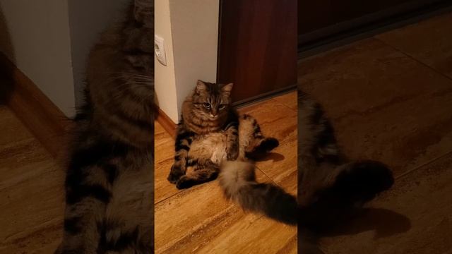 На чиле, на расслабоне!