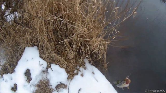 Зимний спиннинг Последняя февральская щучка смотреть онлайн