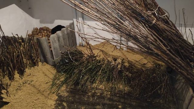 ПАПА СТРОИТ/УБИРАЕМ С ДЕТЬМИ ТЕРРИТОРИЮ/ОГОРОДНЫЕ ДЕЛА смотреть онлайн