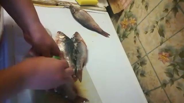 Как салфеткой для мытья посуды от Greenway очистить рыбу от чешуи смотреть онлайн