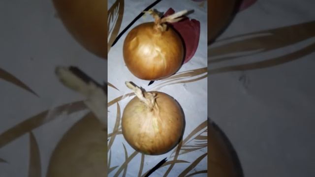 Готовим лагман 4 смотреть онлайн