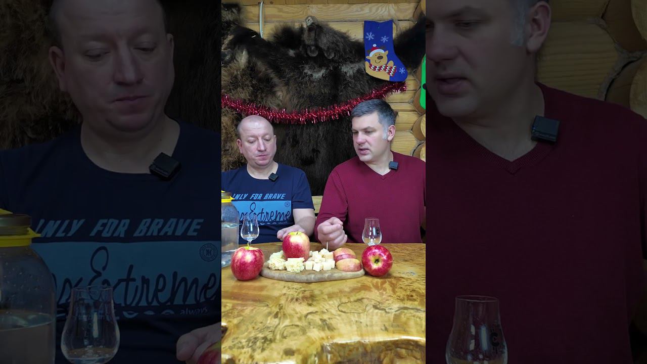 Дегустация кальвадоса из сидра Мистер лис #самозванцы #shorts смотреть онлайн
