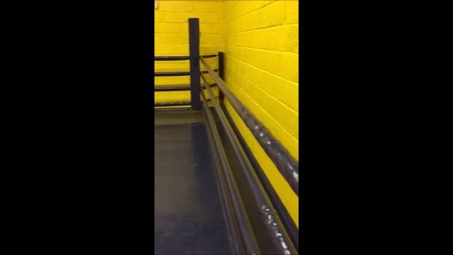 БОРЦОВСКИЙ КОВЕР И ИМИТАЦИЯ РИНГА. ВОЛГОГРАД. смотреть онлайн