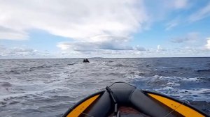 Hard rib Сивуч 480,440. Переход Кемь - Большой Соловецкий