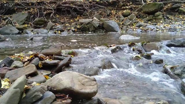 Успокаивающий шум воды в лесу смотреть онлайн