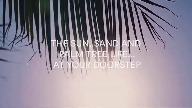 Palm Beach Towers смотреть онлайн