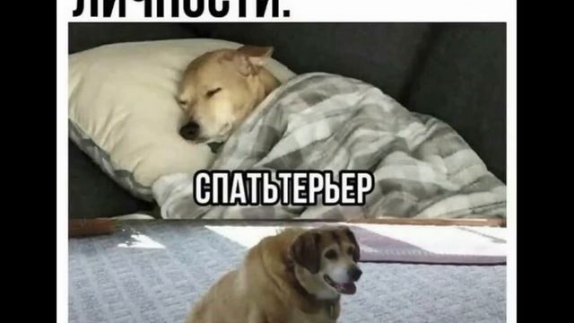 ?СТРАШННО СМЕШНЫЕ ШУТОЧКИ и ПОЖЕЛАНИЯ ? Перезапуск #011 Только для самых умных смотреть онлайн