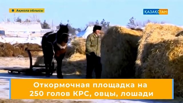 Самые крупные агрохолдинги Казахстана смотреть онлайн