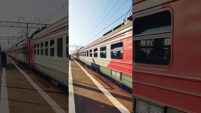 ЭД4М в Белоострове смотреть онлайн