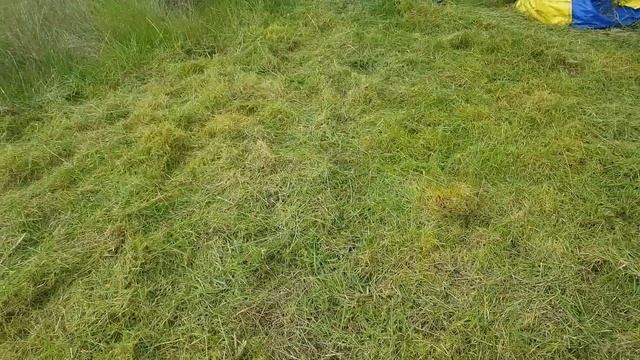 Worx WG157E.9 Cordless Electric Strimmer Long Grass Test/review