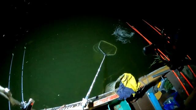 УТРЕННИЙ КЛЕВ КАРАСЬ И КАРП У СТЕНКИ КАМЫША смотреть онлайн