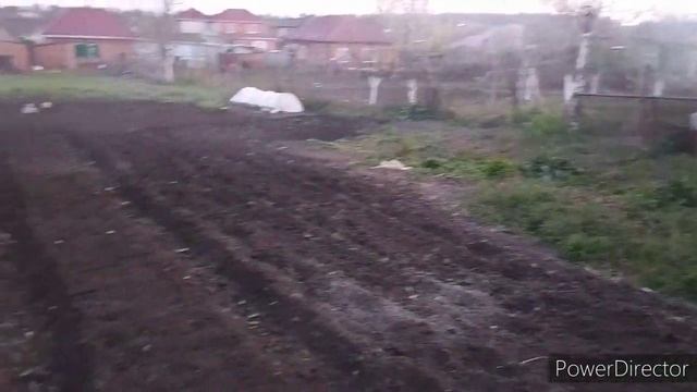 На Кубани лук севок 2020г. смотреть онлайн