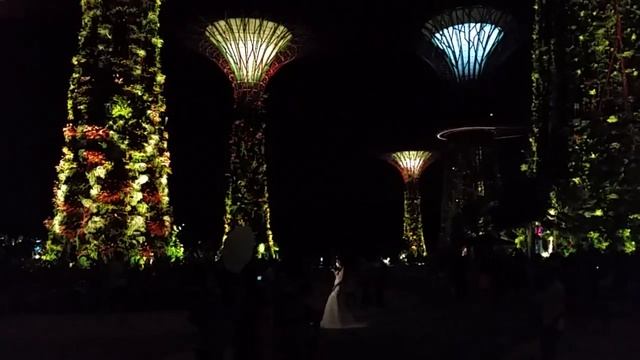Gardens by the Bay, Сингапур. Сады у залива в Сингапуре. смотреть онлайн