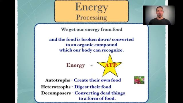 Bio By Shai #1.1 - 8 Characteristics of Life смотреть онлайн