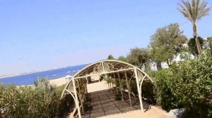 Club Reef 4*Обзор отеля туристом