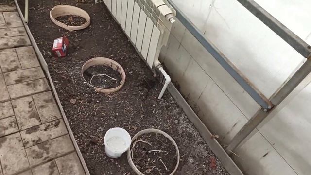 Водяное отопление в теплице смотреть онлайн