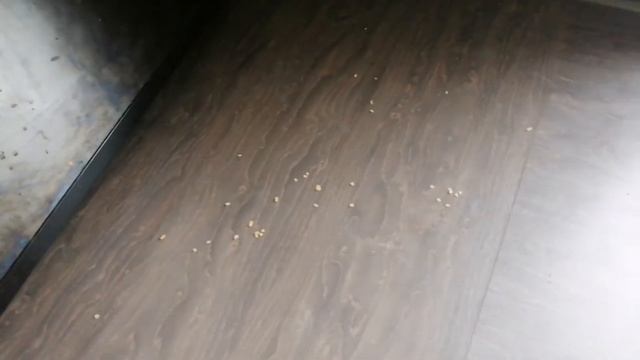 Check out my new Robotic vacuum cleaner. Intelligent vacuum cleaner by Jallen Gabor. смотреть онлайн