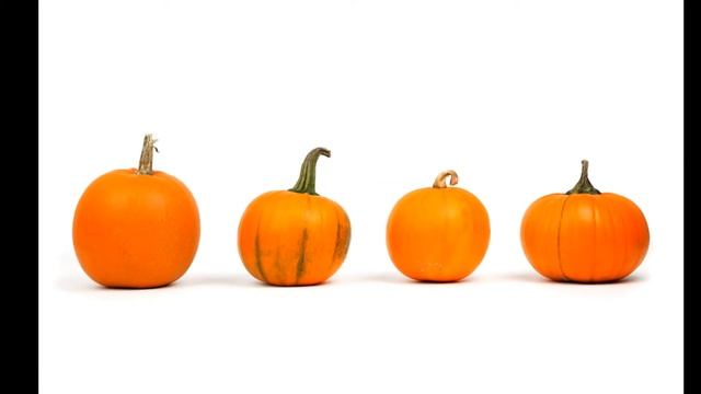 Топ 5 продуктов для почек ( самые полезные продукты для почек)! смотреть онлайн