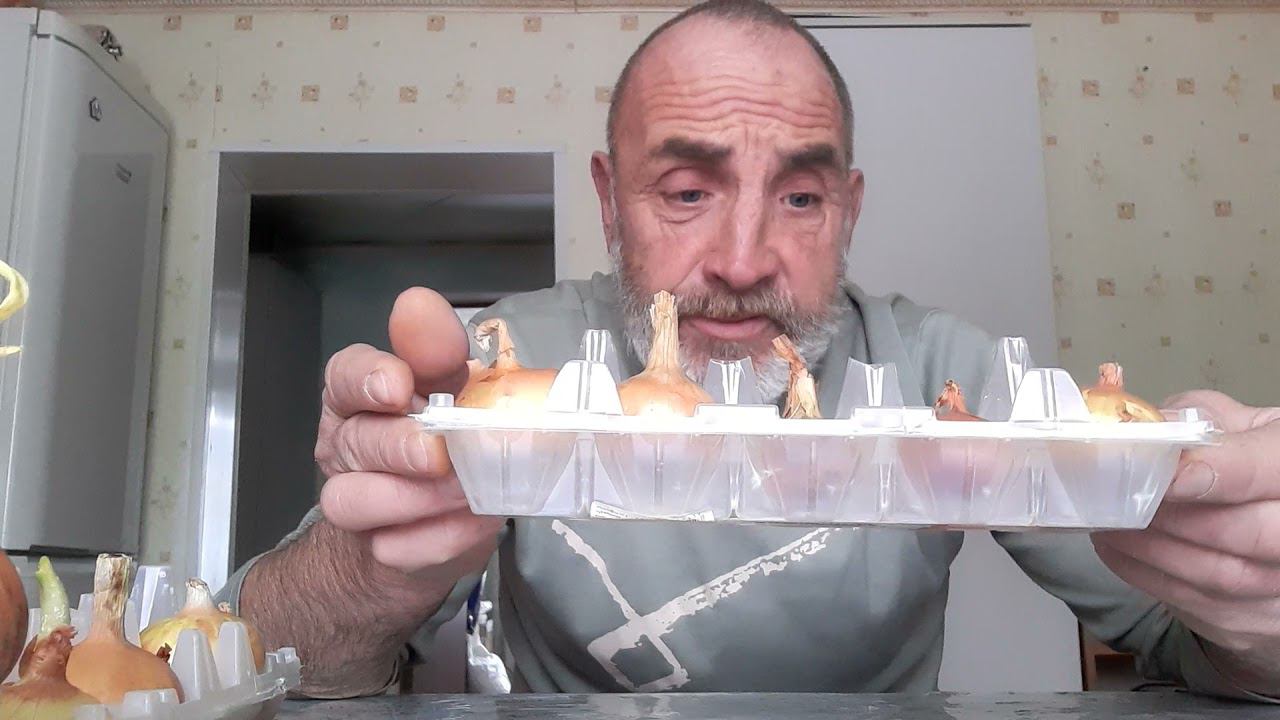 зеленый лук на столе зимой.... смотреть онлайн
