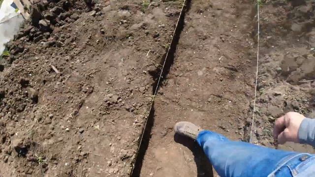 Строим малинник смотреть онлайн