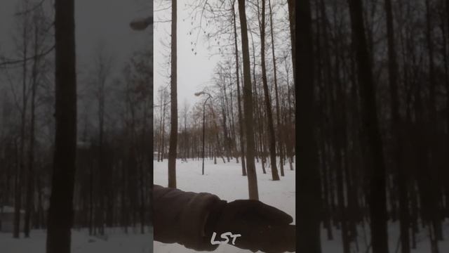 Белка прыгает с руки на дерево и обратно. #squirrel #белка #shorts # смотреть онлайн