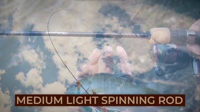 Medium Vs Medium Light Spinning Rod  ? | Big Game Logic