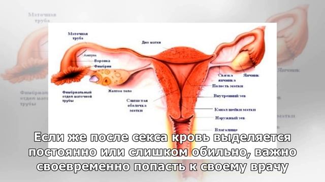 Глажу Живот При Месячных Секс Истории Рассказы