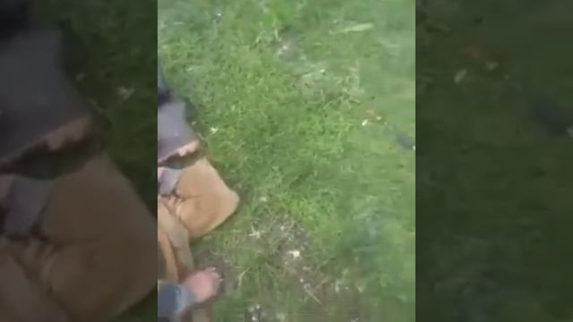 Андрюха,будешь чай? смотреть онлайн