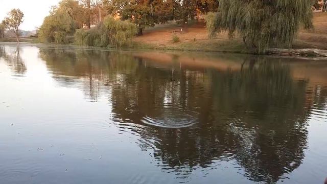 Кум на рибалці смотреть онлайн