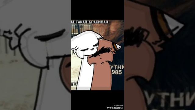 Ищу пару (кота) смотреть онлайн