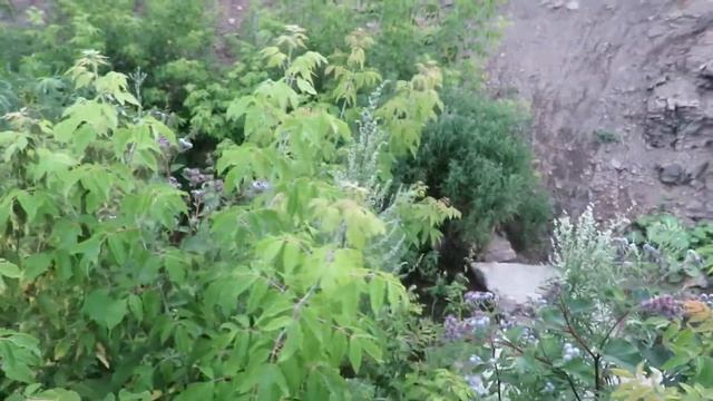 Река Осиновка в д. Андреевка(Кемерово) смотреть онлайн