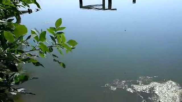 Водомерки смотреть онлайн
