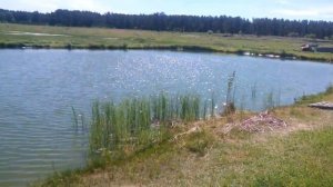 Вертикальный ветронасос для водоема от Игоря Лотц