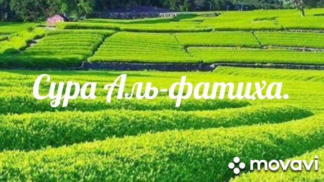 Сура Аль-фатиха.является изцелением от любых заболеваний и от всех проблем.Слушаем 33 раза. смотреть онлайн