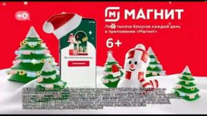 новогодняя реклама магнит 2023 г.
