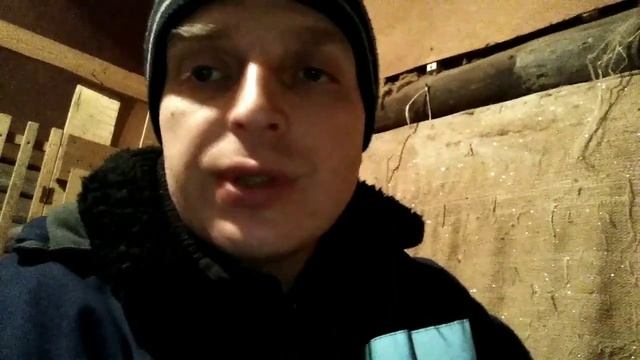 У козы четыре соска , это хорошо или плохо? Как выбрать козочку для самостоятельного выращивания? смотреть онлайн