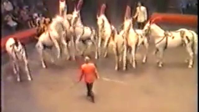 Гражданская Оборона - Песня О Циркаче смотреть онлайн