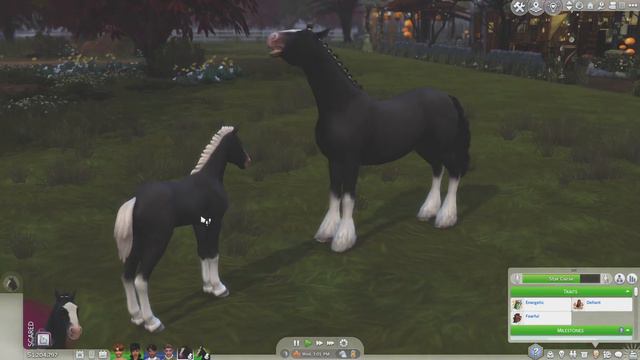Death, a foal and werewolf pups... 🐺 смотреть онлайн