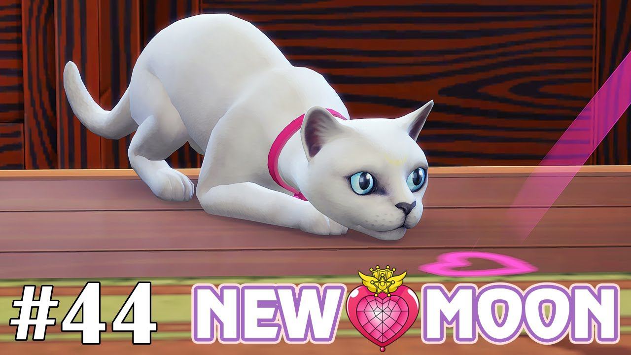 Минус котики :( - The Sims 4 - New Moon #44 смотреть онлайн