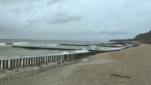 Еду в Светлогорск! ?? смотреть онлайн