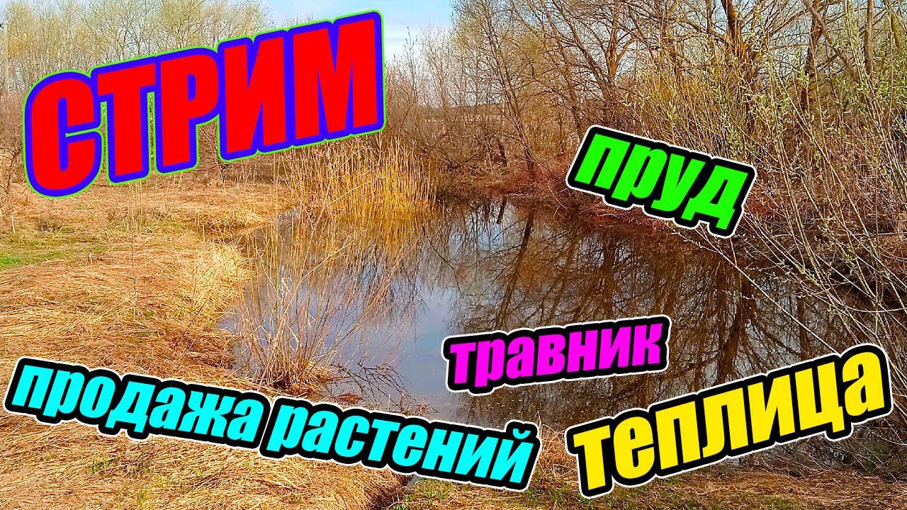 Пруд, теплица, травник и продажа растений! смотреть онлайн