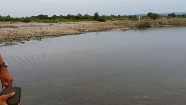 Запускаем камни жабкой над водой ? смотреть онлайн