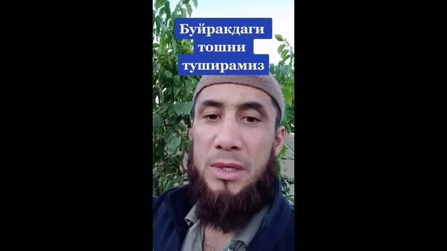 QAHRAMON TABIB BEPUL DABOLAYAPDI