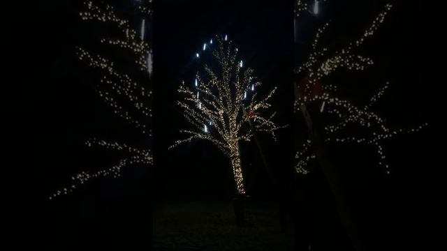 Гирлянда.net Украшение деревьев светодиодными гирляндами. смотреть онлайн