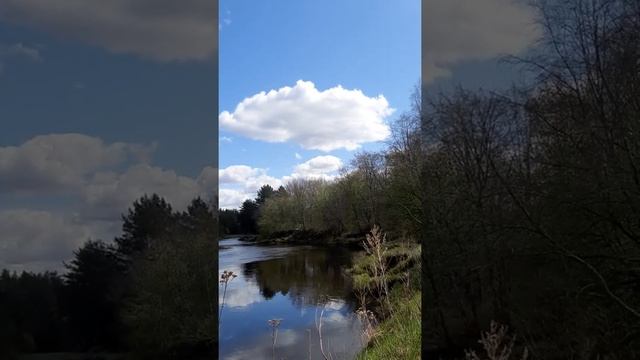 Чт GANESHA Юпитер мантра Ганеше OM GAM GANAPATAYE NAMAHA смотреть онлайн