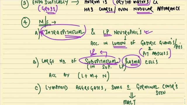 H. PYLORI GASTRITIS AND GASTRIC LYMPHOMAII GIT II ROBBINS 10TH E II PATHOLOGY LECTURES II смотреть онлайн