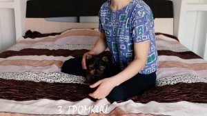 Как отучить щенка кусаться? Что делать, если собака кусается? Один из восьми способов вам подойдет!